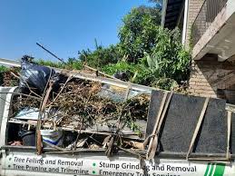 Types of Items We Remove From Your Property in Cheraw, SC